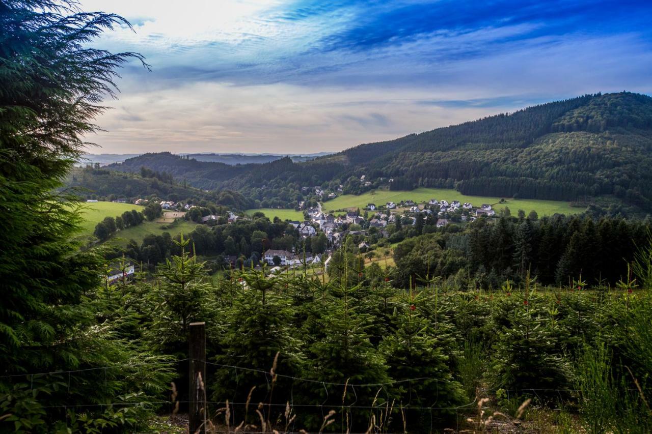 Feldmann-Schütte Daire Schmallenberg Dış mekan fotoğraf